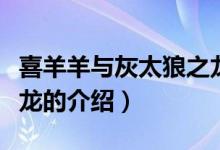 喜羊羊与灰太狼之龙（关于喜羊羊与灰太狼之龙的介绍）