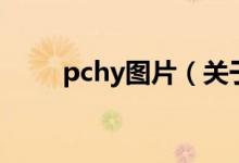 pchy图片（关于pchy图片的介绍）