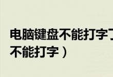 电脑键盘不能打字了怎么办（为什么我的电脑不能打字）