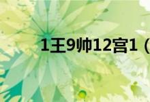 1王9帅12宫1（一王九帅十二宫1）