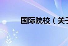 国际院校（关于国际院校的介绍）