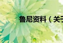 鲁尼资料（关于鲁尼资料的介绍）