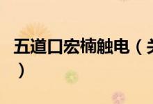 五道口宏楠触电（关于五道口宏楠触电的介绍）
