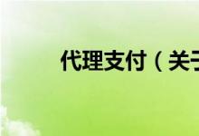 代理支付（关于代理支付的介绍）