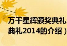 万千星辉颁奖典礼2014（关于万千星辉颁奖典礼2014的介绍）