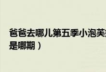 爸爸去哪儿第五季小泡芙妈妈（爸爸去哪儿第五季妈妈来了是哪期）