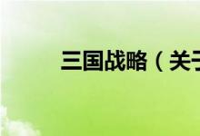 三国战略（关于三国战略的介绍）