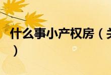 什么事小产权房（关于什么事小产权房的介绍）
