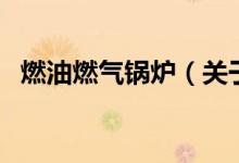 燃油燃气锅炉（关于燃油燃气锅炉的介绍）