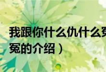 我跟你什么仇什么冤（关于我跟你什么仇什么冤的介绍）