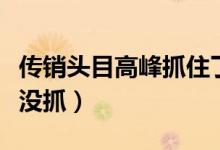 传销头目高峰抓住了没有（歌手高峰传销怎么没抓）