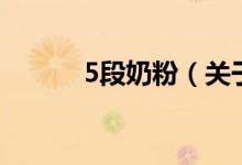 5段奶粉（关于5段奶粉的介绍）