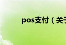 pos支付（关于pos支付的介绍）