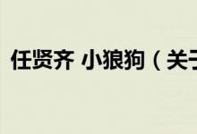 任贤齐 小狼狗（关于任贤齐 小狼狗的介绍）