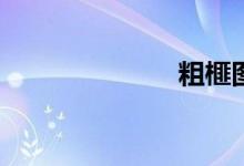 粗榧图片(粗榧)