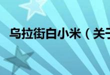 乌拉街白小米（关于乌拉街白小米的介绍）