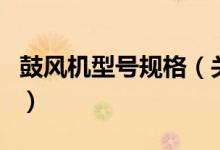 鼓风机型号规格（关于鼓风机型号规格的介绍）
