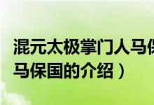 混元太极掌门人马保国（关于混元太极掌门人马保国的介绍）