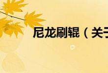 尼龙刷辊（关于尼龙刷辊的介绍）