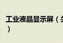 工业液晶显示屏（关于工业液晶显示屏的介绍）