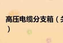 高压电缆分支箱（关于高压电缆分支箱的介绍）