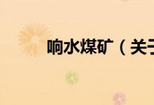 响水煤矿（关于响水煤矿的介绍）