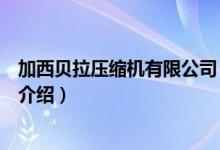加西贝拉压缩机有限公司（关于加西贝拉压缩机有限公司的介绍）