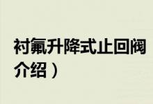 衬氟升降式止回阀（关于衬氟升降式止回阀的介绍）