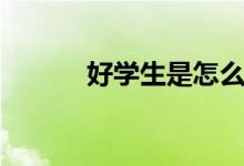 好学生是怎么学习的(好学生)