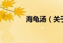 海龟汤（关于海龟汤的介绍）