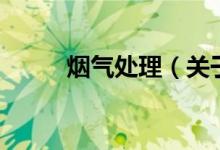 烟气处理(关于烟气处理的介绍)