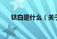 钛白是什么（关于钛白是什么的介绍）