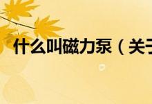 什么叫磁力泵（关于什么叫磁力泵的介绍）