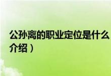 公孙离的职业定位是什么（关于公孙离的职业定位是什么的介绍）