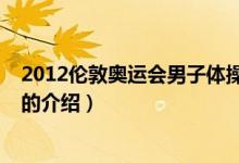 2012伦敦奥运会男子体操（关于2012伦敦奥运会男子体操的介绍）