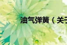 油气弹簧（关于油气弹簧的介绍）
