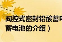 阀控式密封铅酸蓄电池（关于阀控式密封铅酸蓄电池的介绍）