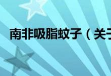 南非吸脂蚊子（关于南非吸脂蚊子的介绍）
