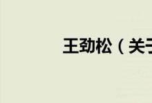 王劲松（关于王劲松的介绍）
