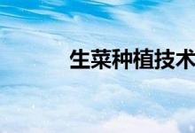 生菜种植技术（非常容易种植）