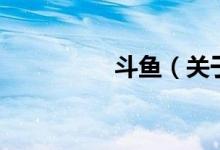 斗鱼（关于斗鱼的介绍）