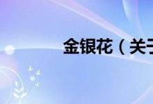 金银花（关于金银花的介绍）