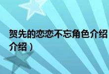 贺先的恋恋不忘角色介绍（关于贺先的恋恋不忘角色介绍的介绍）