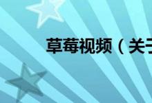 草莓视频（关于草莓视频的介绍）