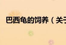 巴西龟的饲养（关于巴西龟的饲养的介绍）