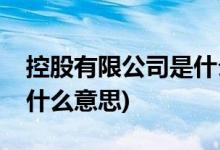 控股有限公司是什么意思啊(控股有限公司是什么意思)