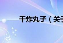 干炸丸子（关于干炸丸子的介绍）