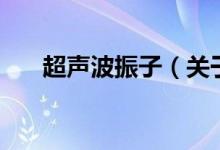 超声波振子（关于超声波振子的介绍）