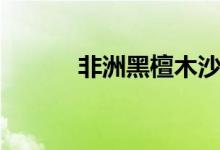 非洲黑檀木沙发(非洲黑檀木)