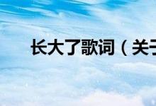 长大了歌词（关于长大了歌词的介绍）